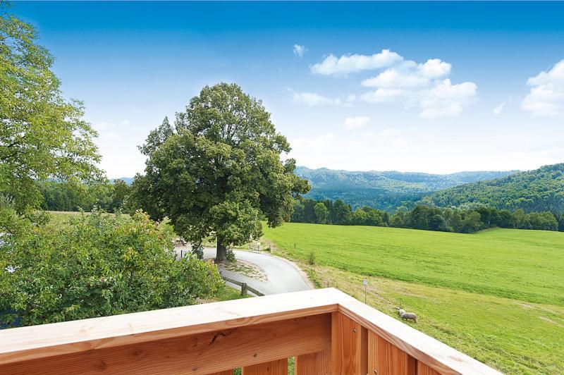 Bergoase Panorama-Apartments Sebnitz Esterno foto